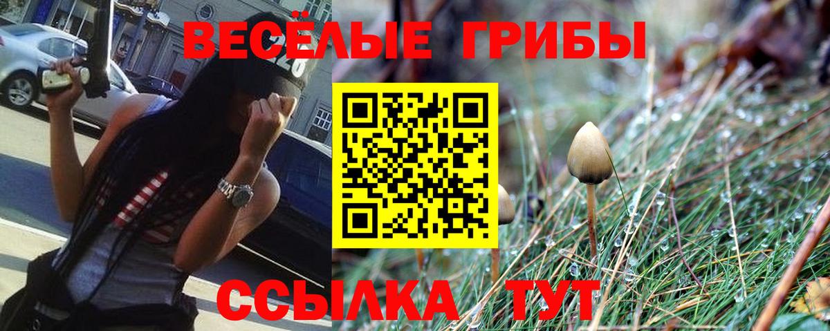 Галлюциногенные грибы мухоморы Мариинск