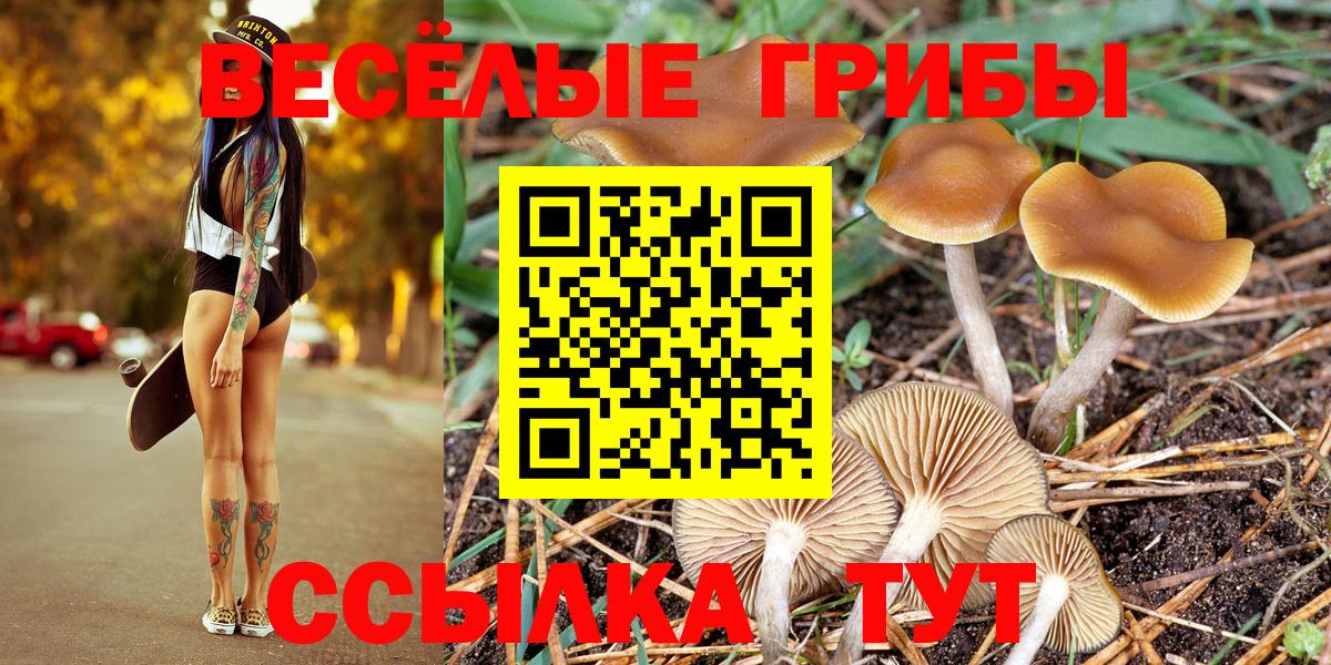 Мариинск  наркотики  Вход с VPN  Галлюциногенные грибы MAGIC MUSHROOMS 
